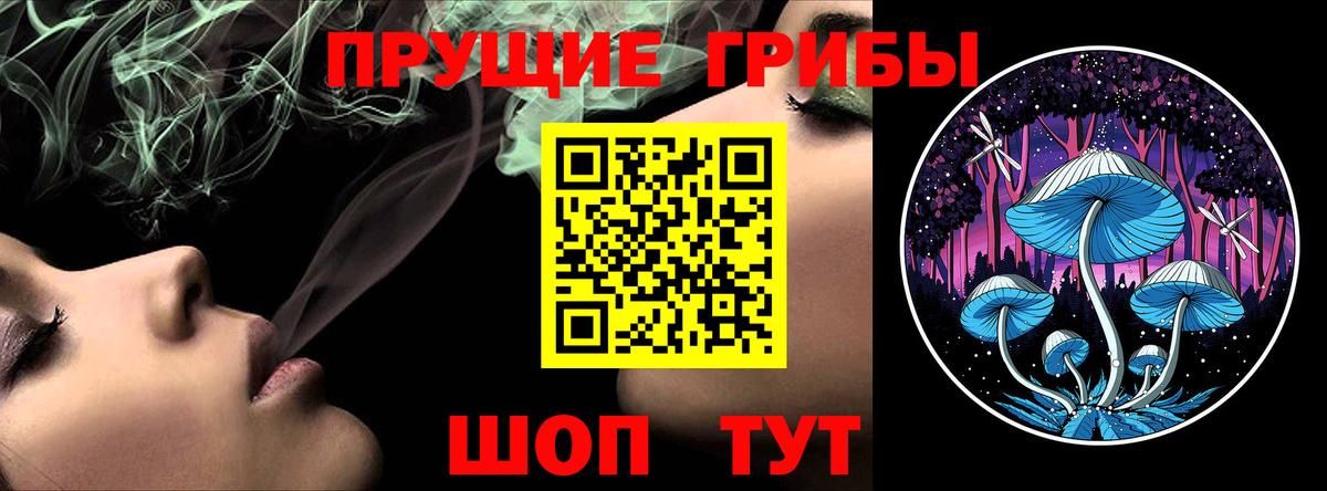 Комсомольск-на-Амуре  Галлюциногенные грибы прущие грибы  Вход с VPN  Галлюциногенные грибы мицелий 